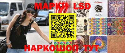 крисы Шебекино