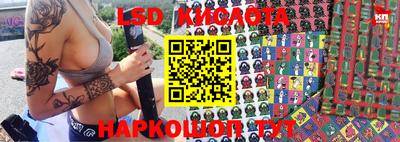 крисы Шебекино