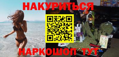 крисы Шебекино