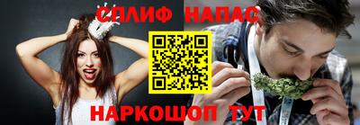гашик Ярославль